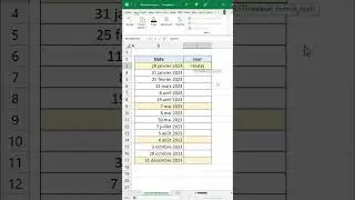 LA fonction pour r&eacute;cup&eacute;rer le jour de la semaine 👇 | Astuce Excel