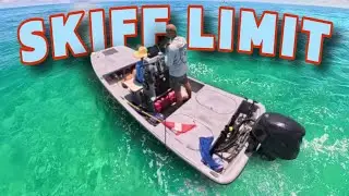 Tiny Boat Lobster Limit | Cheap & Easy Lobster Ceviche Rating