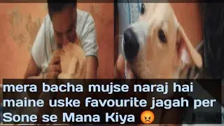 मेरा बच्चा मुझसे नाराज है क्यू के मैने उसके फेवरेट जगह पे सोने से मना किया 😡#doglover #meenak vlog