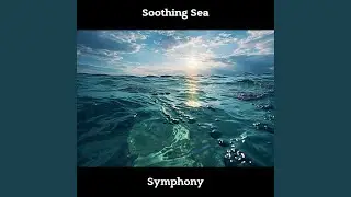 Background Sea Sound