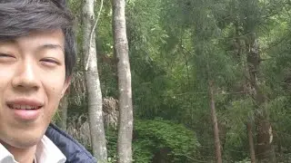 山の中でライブ放送