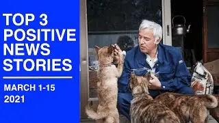 Top 3 Positive News Stories, MARCH 2021 (Part 1) | Some Good News | Positive Vibes