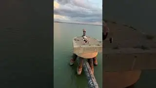 Max with a Rust Explosion water pre💥 #storror #parkour