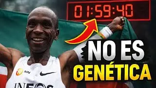 Econom&iacute;a de Carrera vs VO2max: &iquest;Cu&aacute;l gana en Marat&oacute;n?
