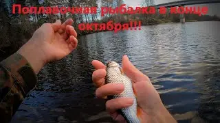 Поплавочная рыбалка в конце октября. Реки Россонь и Луга