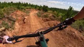 Trail of Awesomeness Orange MTB
