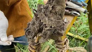 Poor Cow! The farrier found a Huge Brick inside his hoof! Esp.1402