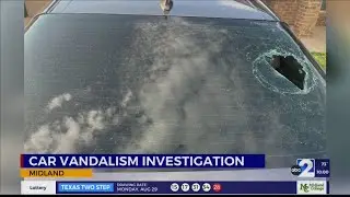 Car vandalism investigation