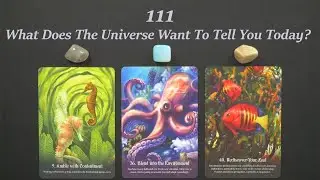 111 What Does The Universe Want To Tell You Today? ~Timeless pick a card tarot reading!