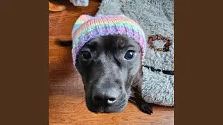 Baby Hat