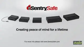 SentrySafe QAP1E  Quick Access Electronic Pistol Safe 1