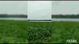 Beauty of Chittaranjan. 💕💕
