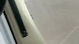 Nazca Lines Spider