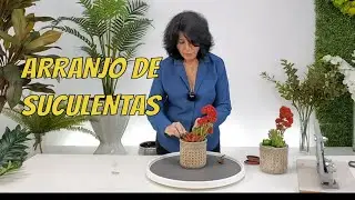Como Fazer um Lindo Arranjo de Suculentas para Despachar