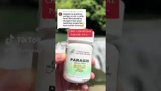 CHEF AYBS PARAGIS GOLD ⭐️