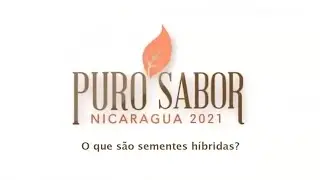 O que s&atilde;o sementes h&iacute;bridas?