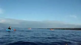 MOV01545