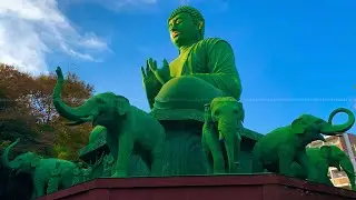 Toganji Temple                                                           The Great Buddha Of Nagoya