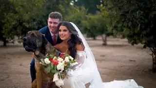Oregon Wedding | Austin + Tabby's Highlight Reel [9.2.23]