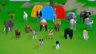 Long Slide Game with Cow Elephant Gorilla Hippopotamus Tiger 3d Animal Game Funny 3d Animals