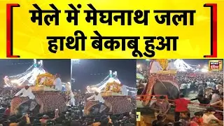 Rajasthan के Kota में Dussehra के मेले में हाथी हुआ बेकाबू | Viral Video | Hindi News