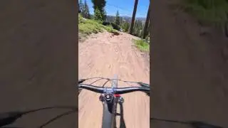 Fun little side trail   #mtbpov #pickyourtrail #cycle