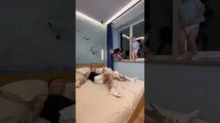 Cutest Baby Moments That Will Make Your Day 💕 | Cute Babies Video 5M | #baby #shorts