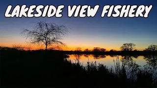 LAKESIDE VIEW FISHERY **Carp Fishing**