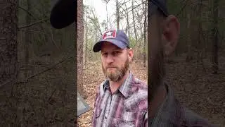 Wilderness Battlefield | 1863-1864 | Defending Culpepper Mine Road civilwar #shorts #education