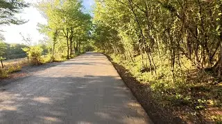 Ormanda Sabah Sürüşü | Morning Ride Through the Forest