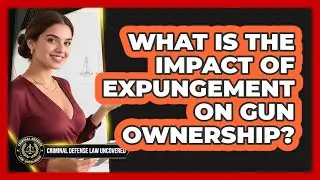 What Is The Impact Of Expungement On Gun Ownership?