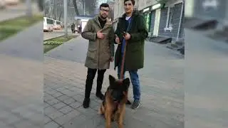 Shnaps a.k.a Rohati ft ( Old School ) Bahti ( ZION ) ft Don Maestro a.k.a 7 Пуль - Мамонтои Рэп