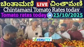 #23/10/2025 #today Chintamani tomato rates #Chintamani tomato market rates #tomato rates #Venu7tv 