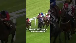 So You Think's Royal Ascot Farewell!