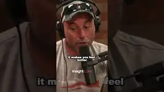Surrounding Yourself with Positivity | Joe Rogan