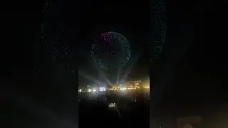 Sheikh Zayed Festival