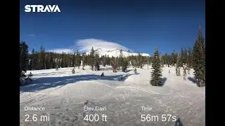 Bunny Flat Mt. Shasta snow scramble