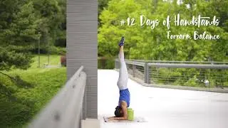 Forearm Balance Tutorial⁣ | YogaSlackers 12 Days of Handstands⁣