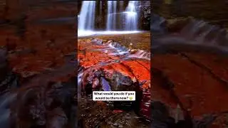 Did you know this about Red Jasper? 😱 | AK VIBES CRYSTALS #61