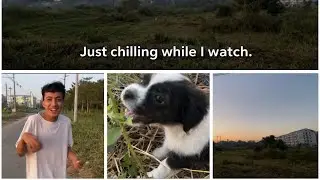 နေဝင်ချိန်နဲ့ smoking with my friend and his dog 🐶🚬 #jakenaturallife#yangonnightview#chillingvibes 