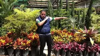 14DeFeBreRo! - Rinc&oacute;n Medinaaa