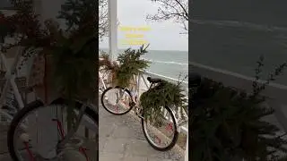 Зима у моря.Одесса 21.12.2024 #live #travel #odessa #2024 #море #odesa #одесса #зима #одеса