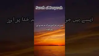 Surah al Baqarah #faith #quranrecitation #islamicshorts #surah #quran