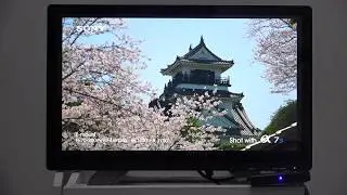 Z28 Android 7.1 TV Box RK3328 2G + 16G EU Plug