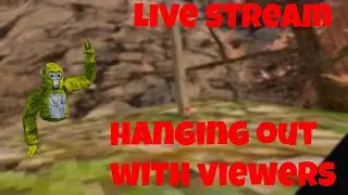 Gtag live stream (MODS)
