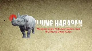 Ujung Harapan - Menguak Jejak Perburuan Badak Jawa di Jantung Ujung Kulon | Mini Documentary