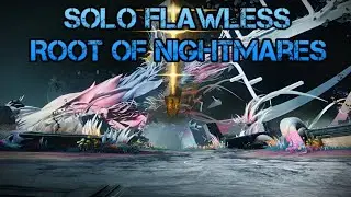 Solo Flawless Root of Nightmares Hunter (Episode Heresy)