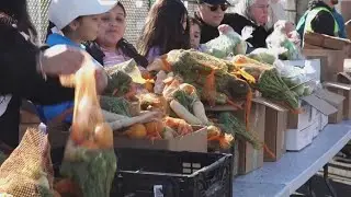 Over 1,200 families served at emergency food distribution at Yuba-Sutter Food Bank