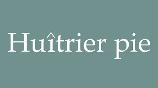 How to Pronounce ''Hu&icirc;trier pie'' (Oystercatcher) Correctly in French