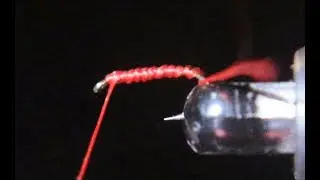 How to tie a blood worm Tracy's first fly